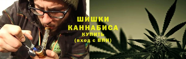 шишки Аркадак