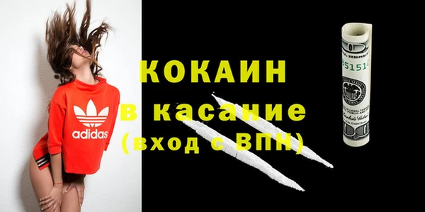 шишки Аркадак