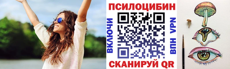 Псилоцибиновые грибы Psilocybine cubensis  Суворов 